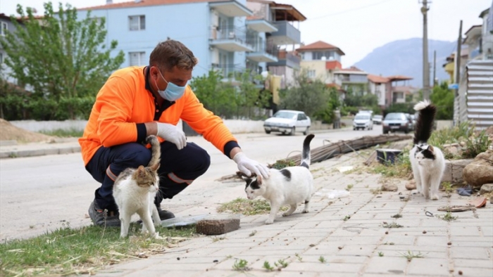 Denizli Büyükşehir can dostları unutmadı