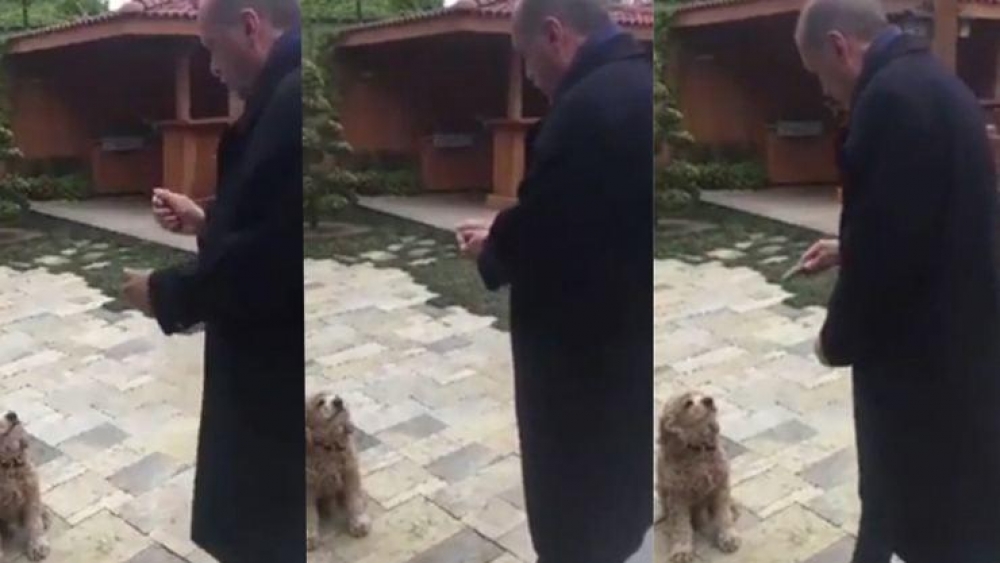 Erdoğan'ın köpeğe salatalık veren videosu viral oluyor