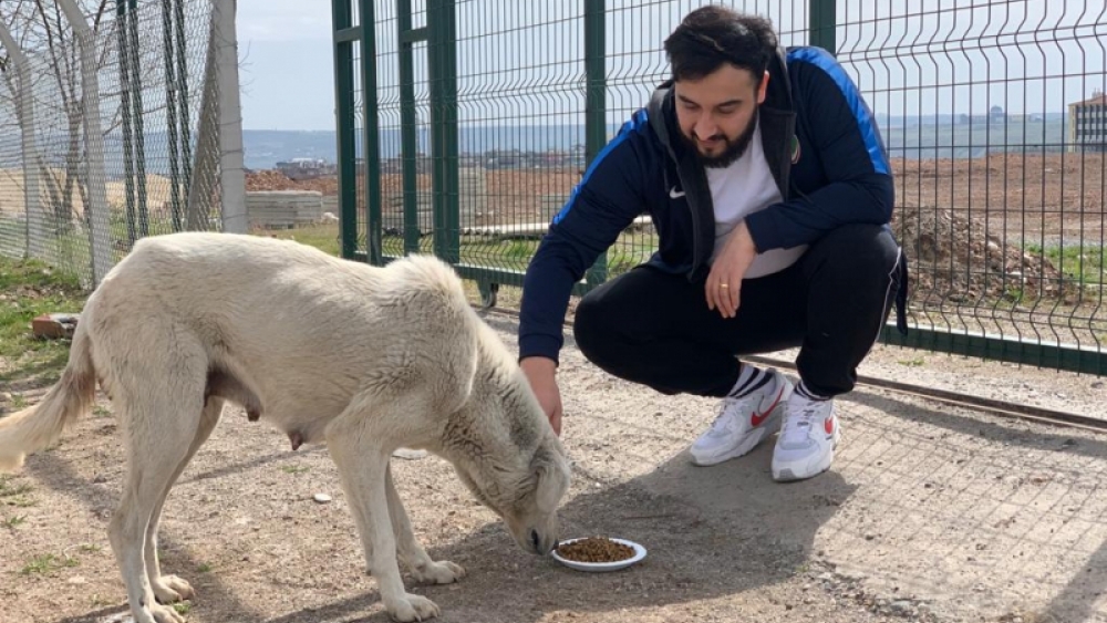 Genç İş insanı Atakan Can'dan İzmir Barınaklarına Yardım