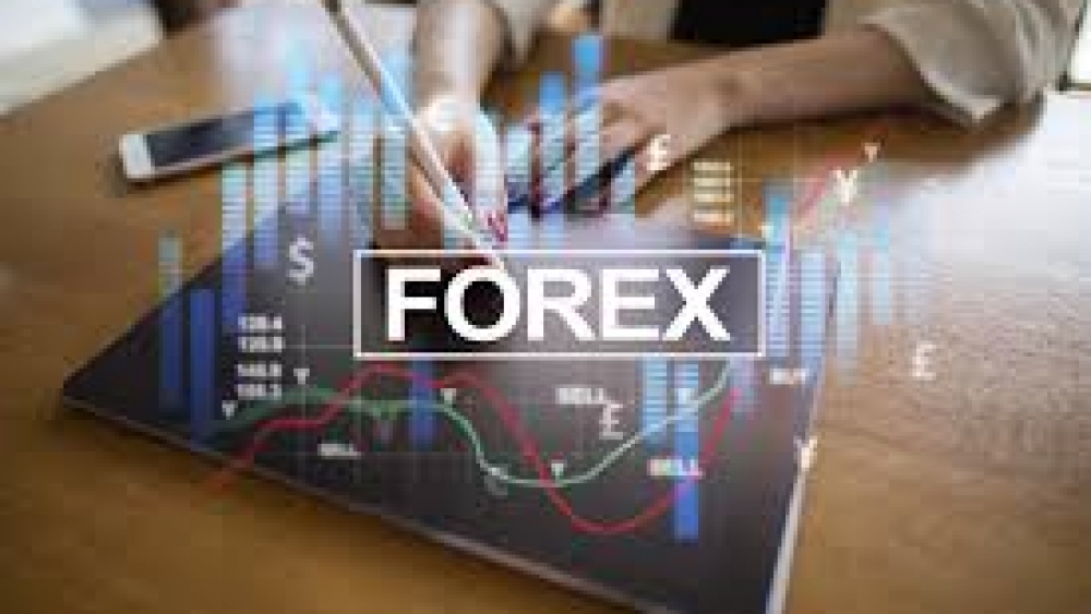 Güvenilir Forex Şirketleri Hangileri? Forex Şirketleri Güvenilir Mi?