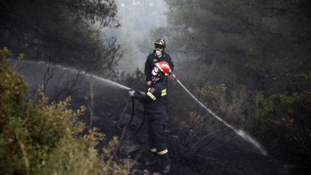 Halkidiki'de Blaze kontrol altına alındı