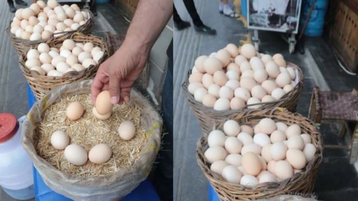 Köy Yumurtası Gerçekten Daha mı Sağlıklı? İşte Bilmeniz Gerekenler
