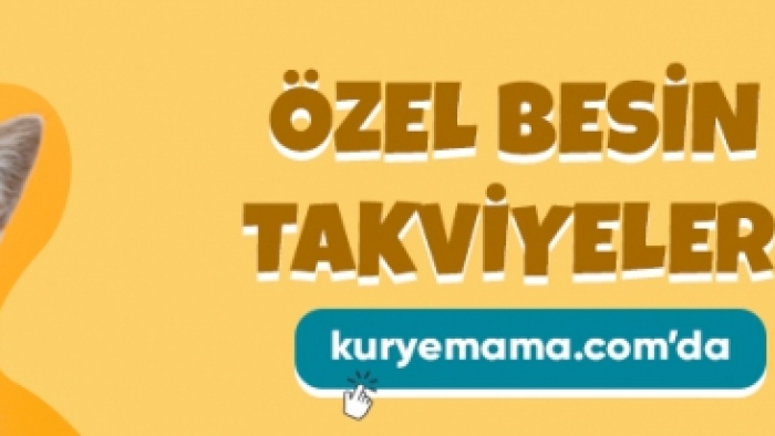 Peluş Kedi Oyuncakları, Proplan Yavru Kedi Mamaları Köpek Kıyafetleri Kuryemama.com Sitesinde